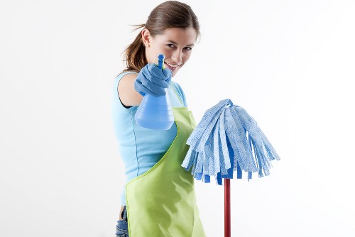 Regular cleaning service for Paddington homes and flats