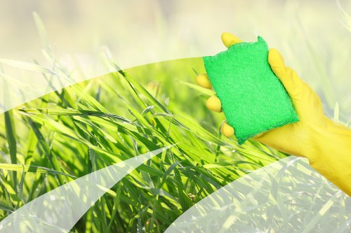 Professional upholstery cleaning for a sofa in Paddington