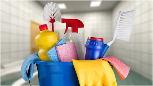 Professional carpet cleaning in a Paddington home