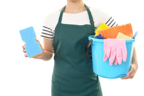 Domestic cleaning support for Paddington residents and nearby neighbourhoods