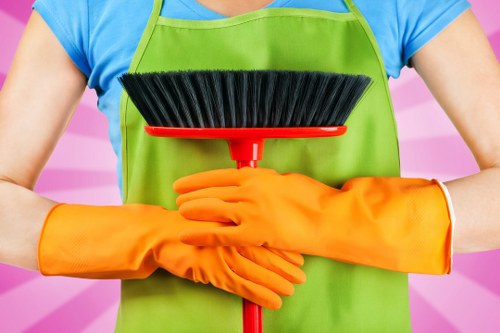 Local cleaner working in a Paddington residence with care and efficiency