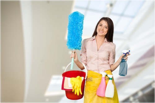 Vacuum and cleaning tools used for carpet maintenance