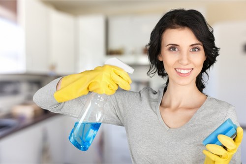 Deep upholstery cleaning process for a sofa in a Paddington home