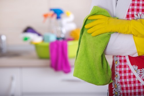 Carpet cleaning risk assessment in a Paddington property