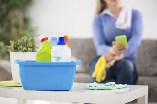 Professional pet stain odour removal service for a Paddington carpeted home