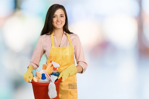 Paddington residential and commercial oven cleaning service