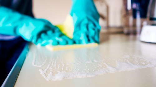 Freshly cleaned sofa and upholstery care service in Paddington