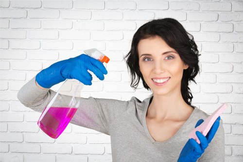 Local cleaners preparing a Paddington rental property for inspection