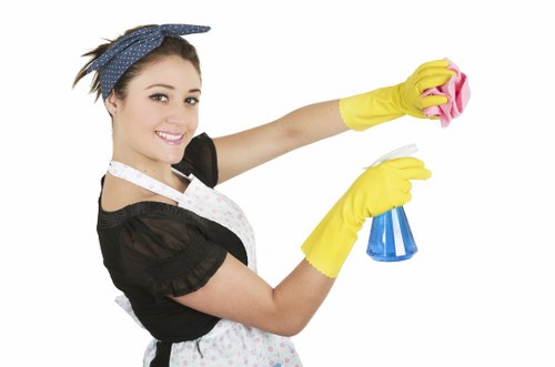 Professional move in cleaning for a Paddington property entrance