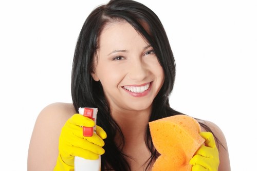 Finishing touches for after builders cleaning in Paddington homes and offices