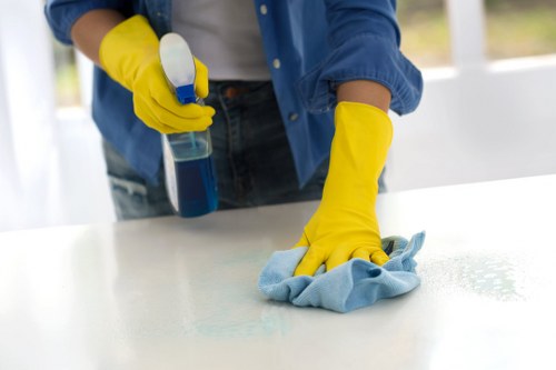 Professional move out cleaning checklist for kitchen and bathroom areas